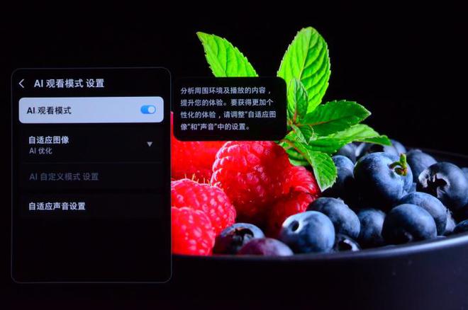 5F评测：让家中大屏成为我们的智慧伙伴麻将胡了2模拟器三星OLED电视S9(图7)